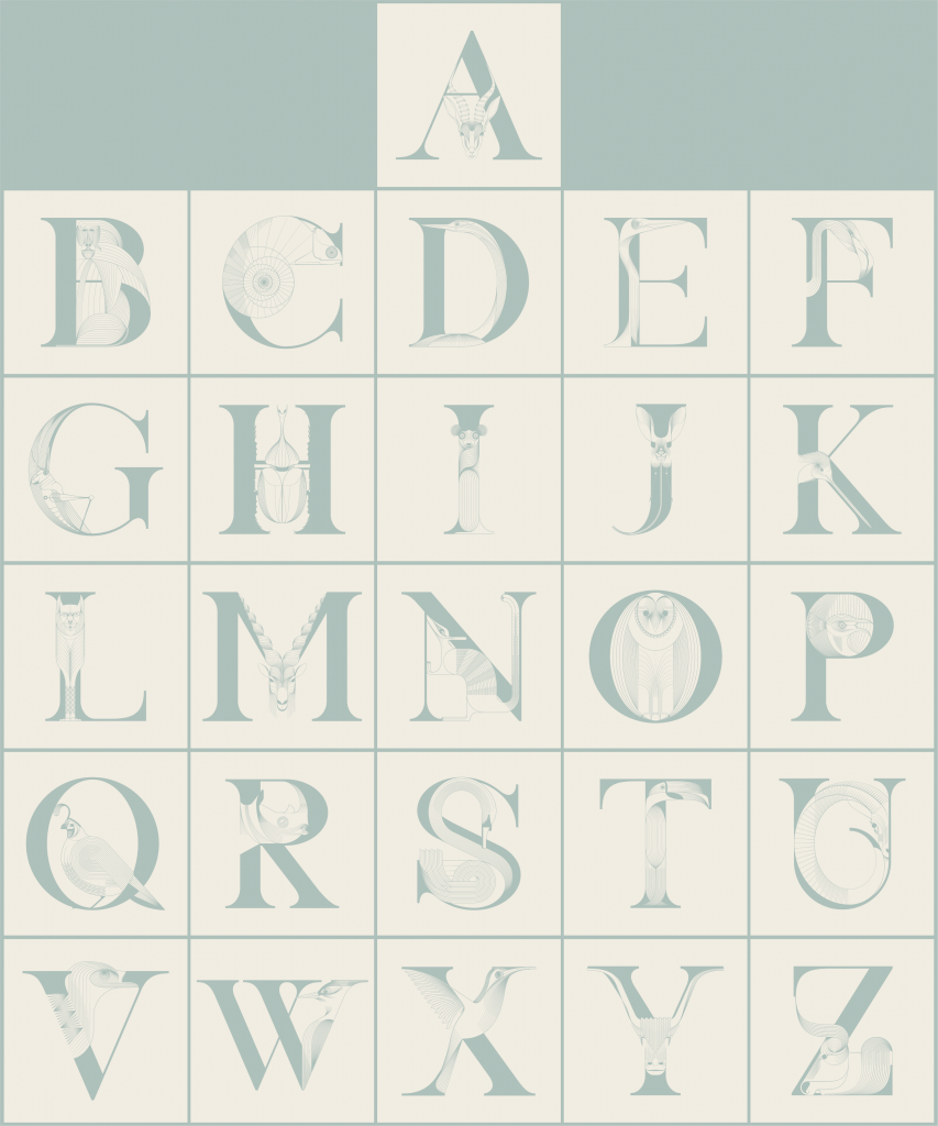 web_7_typography-11